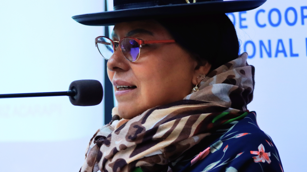 Diputada Progresista, Bertha Acarapi