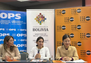Mariana Ramírez, Viceministra de Gestión del Sistema de Salud explica la importancia del Plan del Acción.