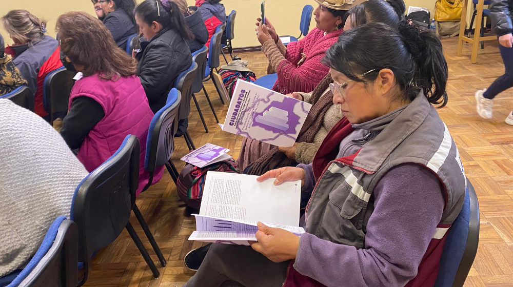 Los resultados de la encuesta de prevalencia de violencia basada en género corresponden a La Paz,  El Alto,  Cochabamba y Sacaba.