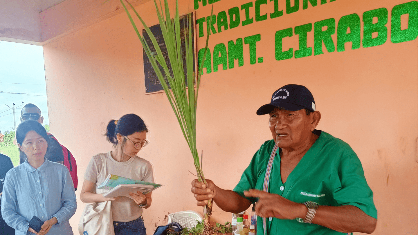 Pueblos indígenas dan a conocer sus criterios respecto a la salud materna y su importancia.