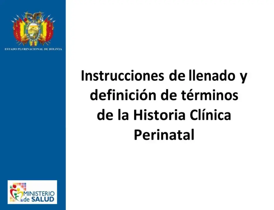 Instrucciones de llenado y definición de términos de la Historia Clínica Perinatal
